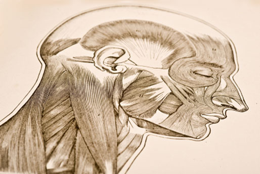 Massage therapy is beneficial for muscle, ligament and soft tissue health.